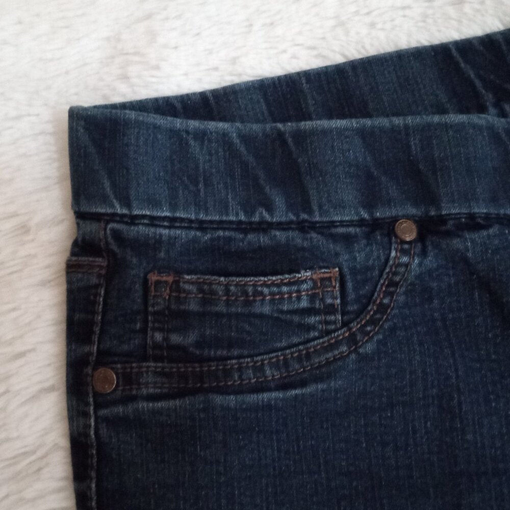 Faded Glory Women's 3 Pocket, Stretch Denim Jeans (Size 14) Color: Jrinse - Picture 4 of 8